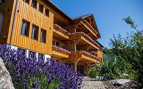 Les Gîtes d'Adelspach Gîtes&Spa en Alsace